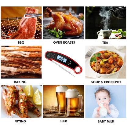 QuickCheck Meat Thermometer